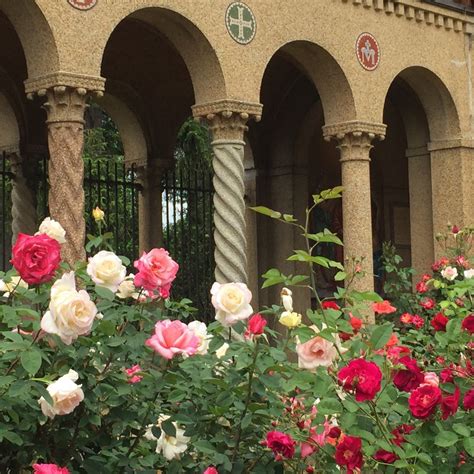 Formal Rose Gardens Franciscan Monastery Garden Guild