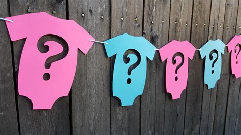 Gender Reveal Banner Gender Reveal Gender Reveal Party Girl Etsy
