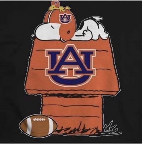 Pin By Kk Medlock On Auburn Auburn Football War Eagle Auburn Auburn