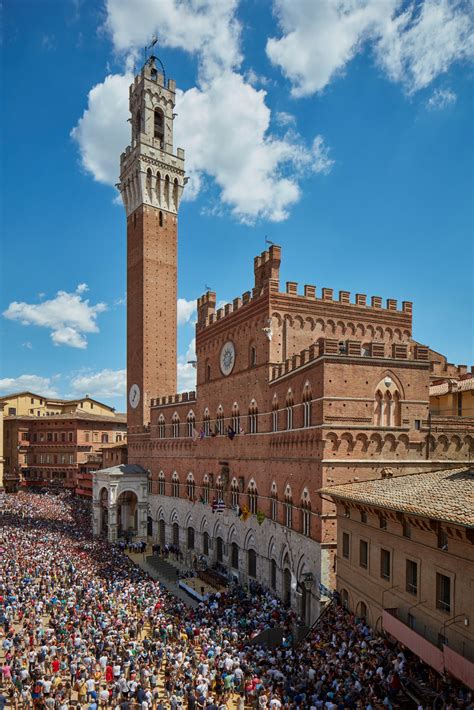 The Palio Di Siena A Survivors Tale The New York Times