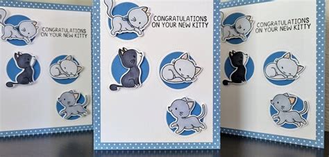 Congratulations On Your New Cat Card Kitty Lover Card New Etsy