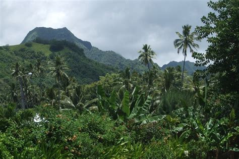 E51JJU Rarotonga Island South Cook Islands