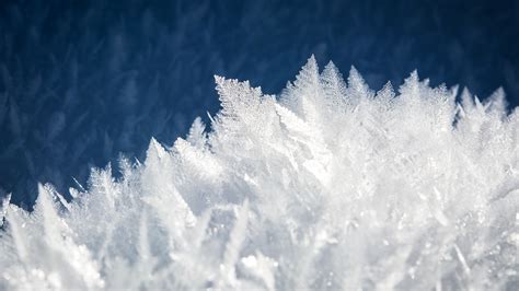 Download Free Hd Icy White Snow Crystals Desktop Wallpaper