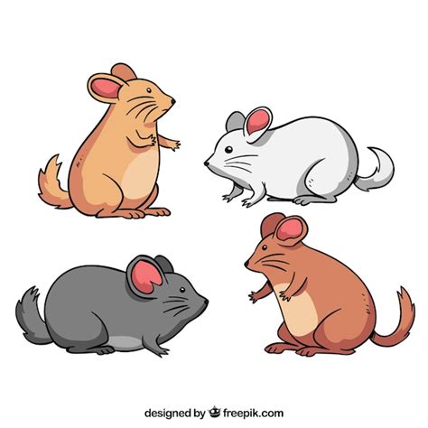 Premium Vector Cute Mice Breed Collection