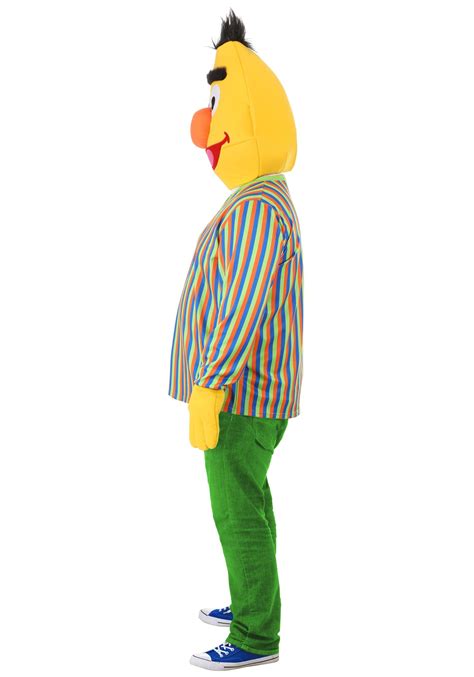 Bert Sesame Street Plus Size Costume