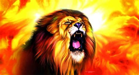 Roaring Lion Of Judah Silk Worship Flag Declaration Flag Etsy