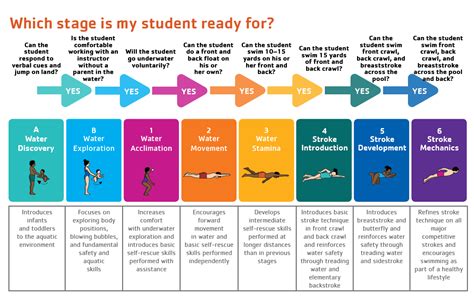 Swim Lesson Stage Progressions Cadillac Area Ymca