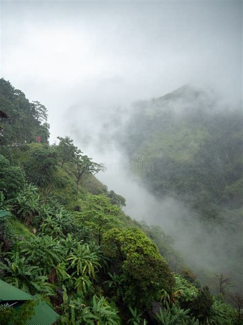 Beautiful Photo Of Dense Fog And Clouds In The Jungle Forest On