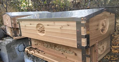 Eco Bee Box Modern Beehives And Bees Amazing Beehive Ready For