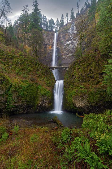 Multnomah Falls In Columbia River Gorge Photograph By David Gn