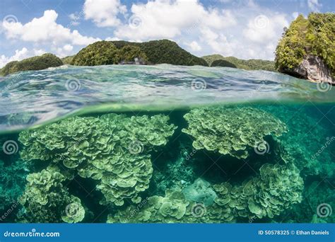 Coral Reef Surrounded By Islands Stock Image Image Of Climate