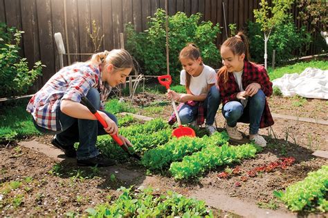 How To Start A Vegetable Garden — San Diego Seed Company