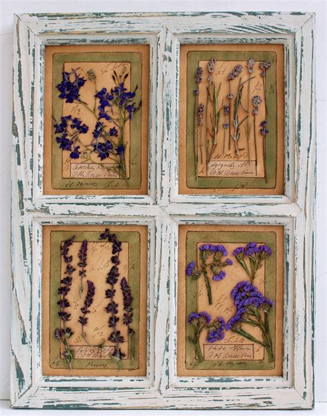 Pressed flower art pressed flower frame herbarium pressed ...