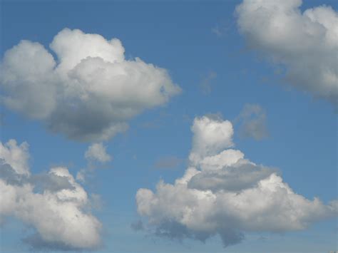 You'll find blue sky images, pictures of the night sky, cloudy skies, rainbows, aurora borealis, starry skies, landscape sky photos and more. Free Stock Photo in High Resolution - Clouds in Blue Sky 2 ...