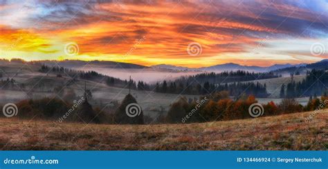 Foggy Morning In The Carpathian Mountains Stock Photo Image Of Season