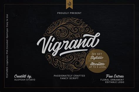 Vigrand Script Font A Stylish And Quirky New Bold Script Inspired By
