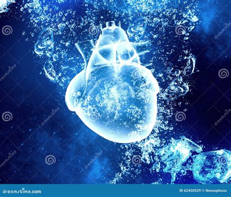 Human Heart Under Water Stock Illustration Illustration Of Heart