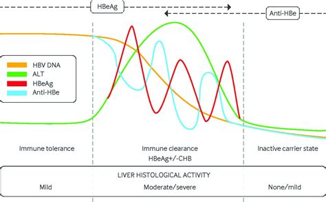 Management Of Chronic Hepatitis B Infection The Bmj