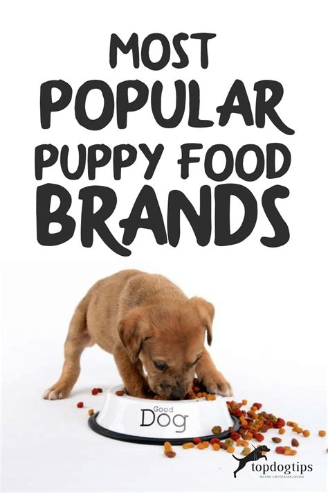 59 Most Popular Puppy Food Brands Top Dog Tips Puppy Food Brands