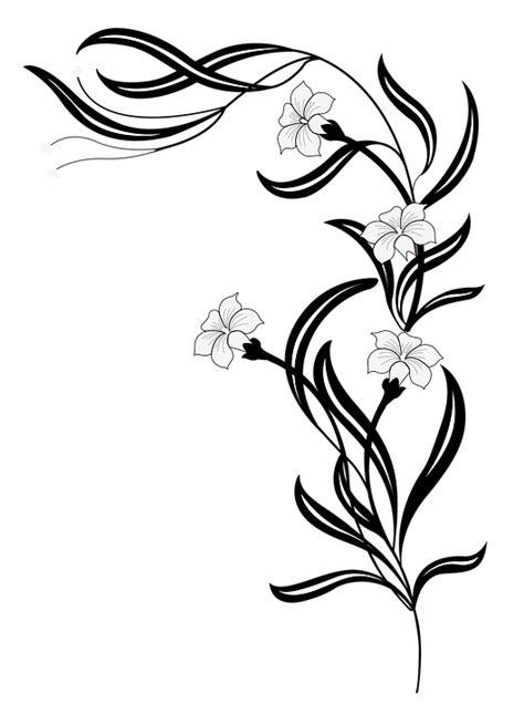 Daun Png Bingkai Bunga Hitam Putih Png Gambar Bunga Floral Pattern