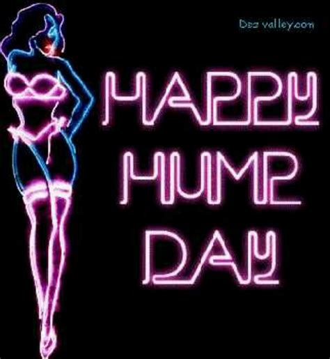 1000 Images About Honeys Hump Day Messages On Pinterest