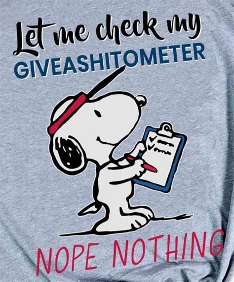 Pin By Bernard Horowitz On Humor Snoopy Quotes Snoopy Funny Funny