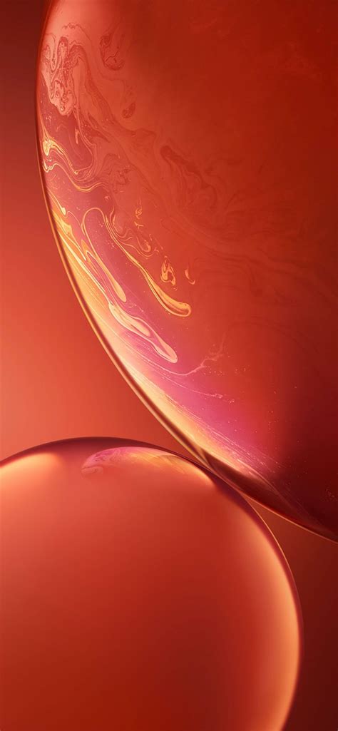 50 Best High Quality Iphone Xr Wallpapers And Backgrounds Designbolts