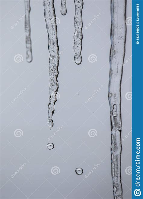 Icicles Dripping Water Droplets Stock Image Image Of Light Close