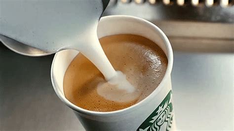 Starbucks Coffee Unites States Gif Wifflegif