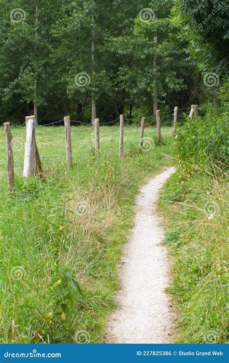 Peaceful Dirt Pathway To Hike Through The Meadows For Nature Stock