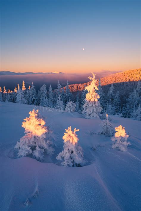 Christmas Landscape In The Winter Mountains At Sunset Stock Image