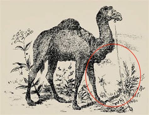 Most People Cant Spot The Hidden Man In This Vintage Optical Illusion