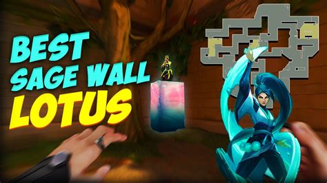 The Best Sage Walls On Lotus New Map Youtube
