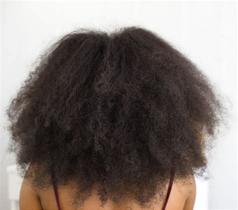 Eden Bodyworks How To Treat Dry Natural Hair Maintaining