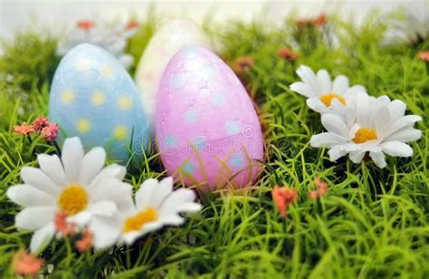 Easter Eggs Stock Image Image Of Flowers White Daisy 23734775