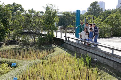 At the main information centre you can rent a bike or a set of binoculars or take a tram ride round the park. Wetland Park