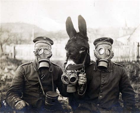 Two German Soldiers And Their Mule Wearing Gas Masks 1916 Rare
