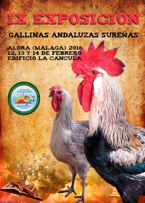 Top 64 Imagen Cruza De Gallina Con Aguila Abzlocalmx