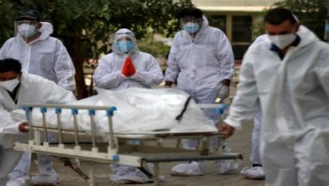 Ingresa en el organismo a partir de la inhalación de. India | 19 regiones declaran epidemia por casos de hongo ...