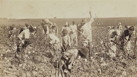 Fsu Film School Faculty To Present New Documentary On History Of Plantations And The Enslaved In