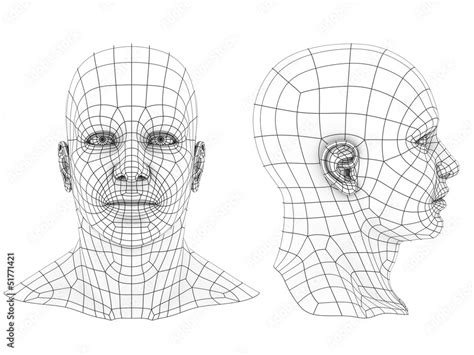 Human Head 3d Wireframe Front And Side View Ilustración De Stock