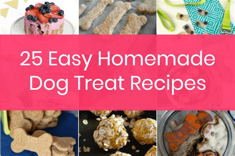 25 Easy Homemade Dog Treats Recipes Your Pooch Will Devour