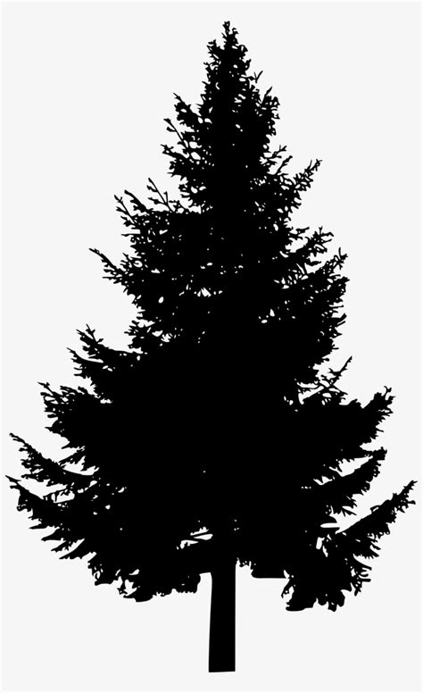 Pine Tree Silhouette Free Images Toppng Picture Royalty Pine Trees