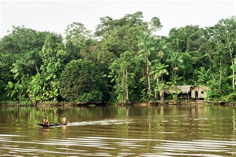 Amazonia Live And The Amazon Sustainable Landscapes Program Have Joined