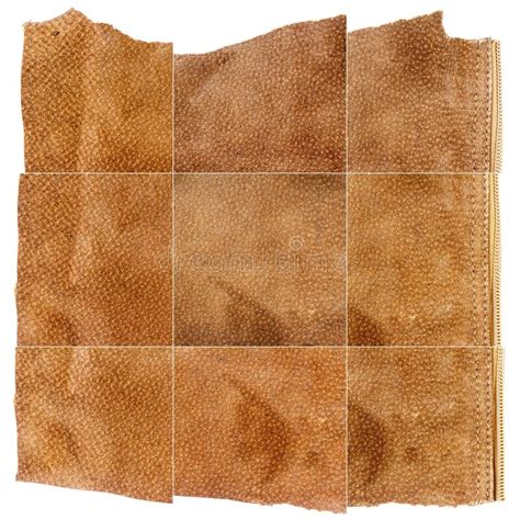 Collection Of Brown Leather Textures Stock Photo Image Of White