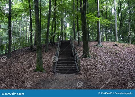 Wooden Stairs In The Forest Outdoors Stairs In Colorful Nature Stock