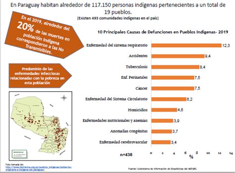 Mortalidad En Paraguay En 2019 Una Mirada A La Población Indígena