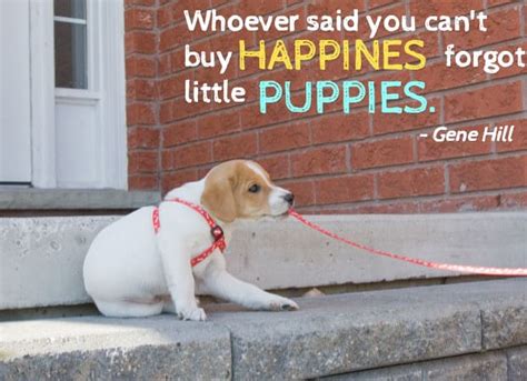 25 Dog Quotes With Pictures