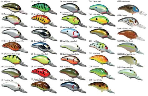 Types Of Fishing Lures For Bass Walleye Northern Crappie