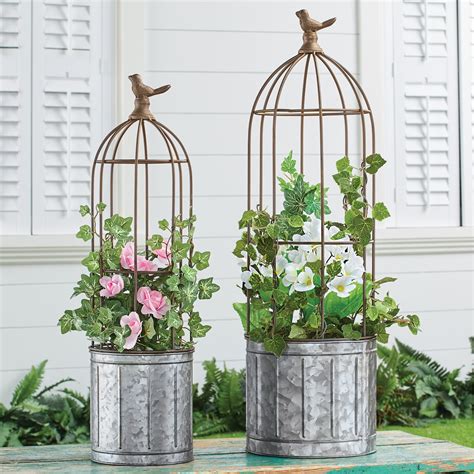 Charming Rustic Galvanized Bird Cage Garden Planters Collections Etc